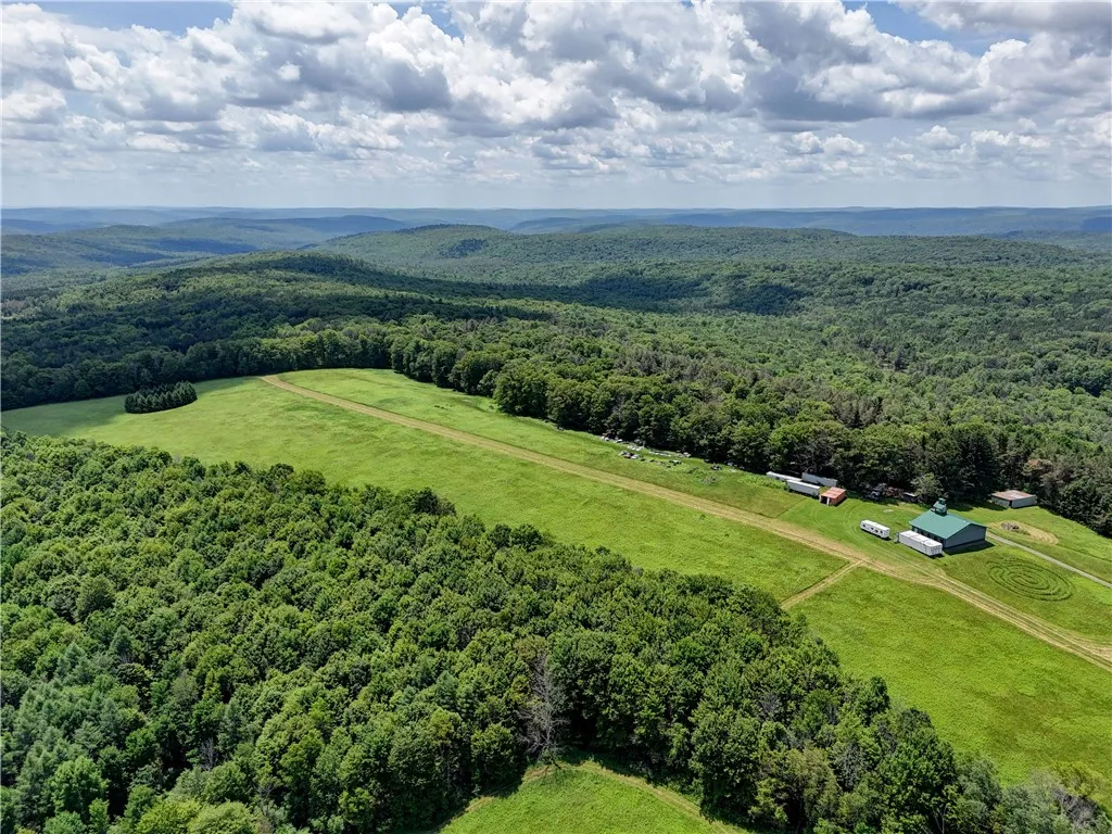 172 Hill Road, Danby, New York 14850, Danby, New York 14850, ,Land,For Sale,172 Hill Road, Danby, New York 14850,0,R1618374