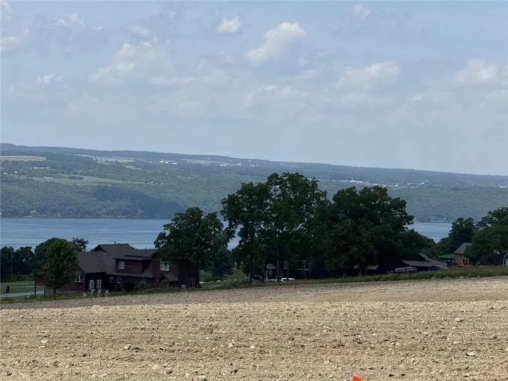 0 Shumway Road, Hector, New York 14818, Hector, New York 14818, ,Land,For Sale,0 Shumway Road, Hector, New York 14818,0,R1618398