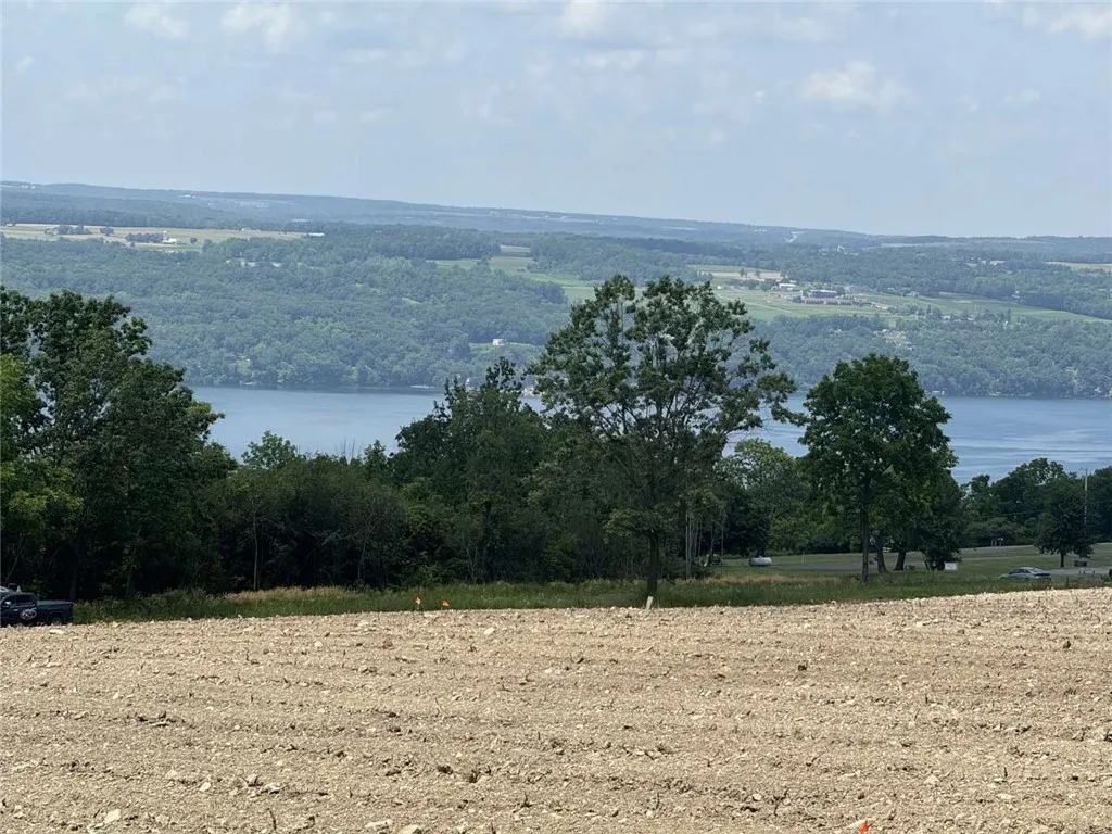 0 Shumway Road, Hector, New York 14818, Hector, New York 14818, ,Land,For Sale,0 Shumway Road, Hector, New York 14818,0,R1618398