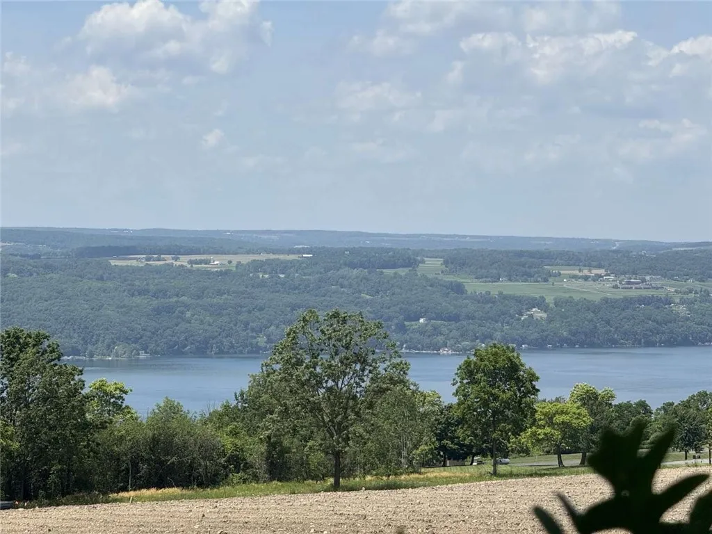 0 Shumway Road, Hector, New York 14818, Hector, New York 14818, ,Land,For Sale,0 Shumway Road, Hector, New York 14818,0,R1618398