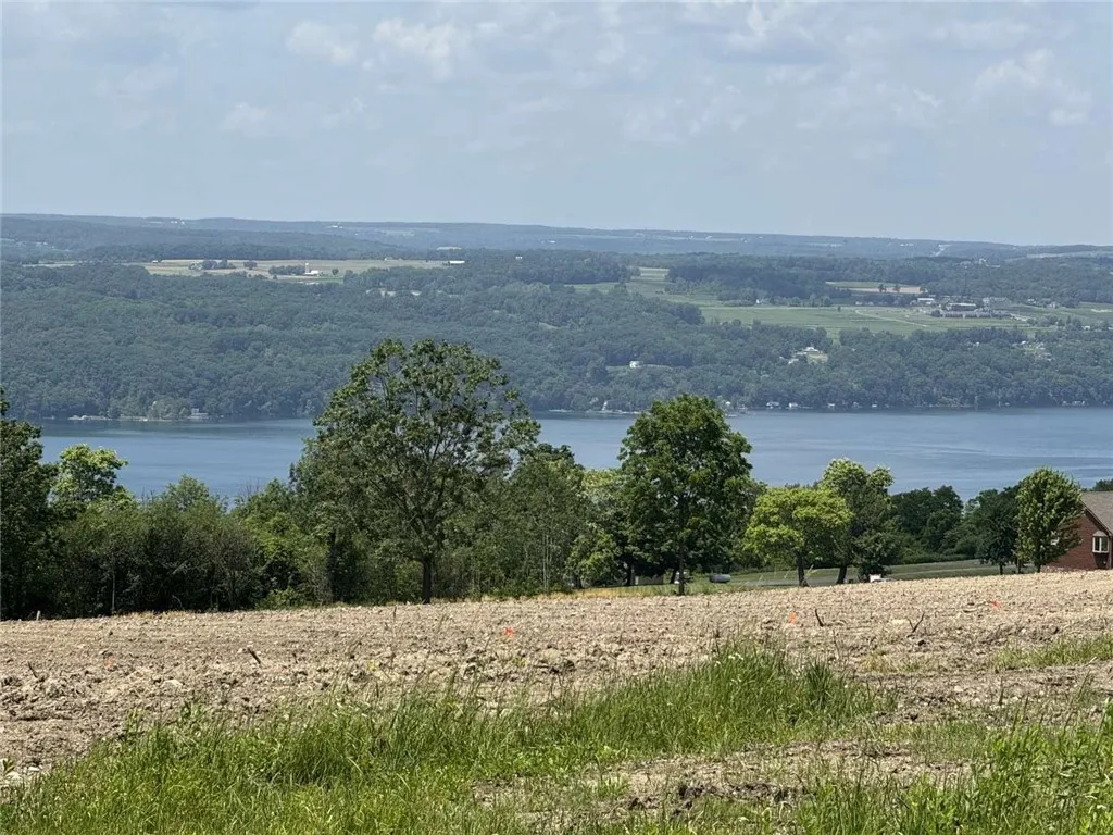 0 Shumway Road, Hector, New York 14818, Hector, New York 14818, ,Land,For Sale,0 Shumway Road, Hector, New York 14818,0,R1618398