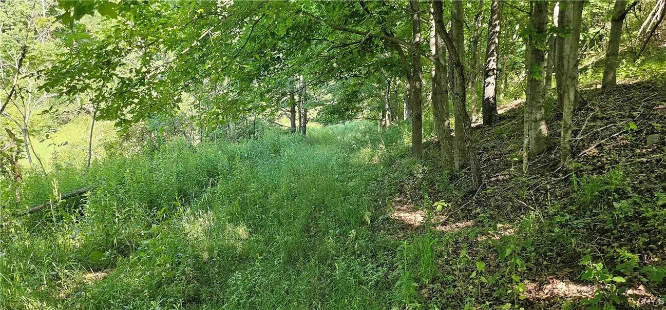 158 Tupper Road, Newfield, New York 14883, Newfield, New York 14883, 3 Bedrooms Bedrooms, 7 Rooms Rooms,1 BathroomBathrooms,Residential,Closed,158 Tupper Road, Newfield, New York 14883,0,S1618407