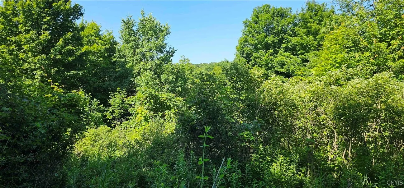 158 Tupper Road, Newfield, New York 14883, Newfield, New York 14883, 3 Bedrooms Bedrooms, 7 Rooms Rooms,1 BathroomBathrooms,Residential,Closed,158 Tupper Road, Newfield, New York 14883,0,S1618407