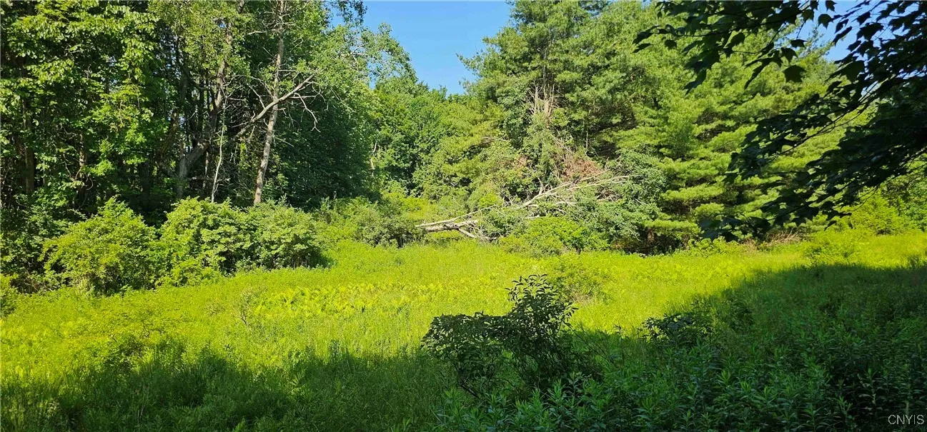 158 Tupper Road, Newfield, New York 14883, Newfield, New York 14883, 3 Bedrooms Bedrooms, 7 Rooms Rooms,1 BathroomBathrooms,Residential,Closed,158 Tupper Road, Newfield, New York 14883,0,S1618407