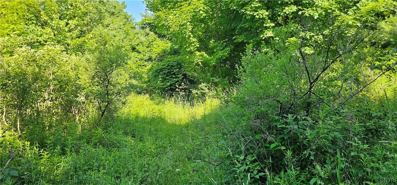 158 Tupper Road, Newfield, New York 14883, Newfield, New York 14883, 3 Bedrooms Bedrooms, 7 Rooms Rooms,1 BathroomBathrooms,Residential,Closed,158 Tupper Road, Newfield, New York 14883,0,S1618407
