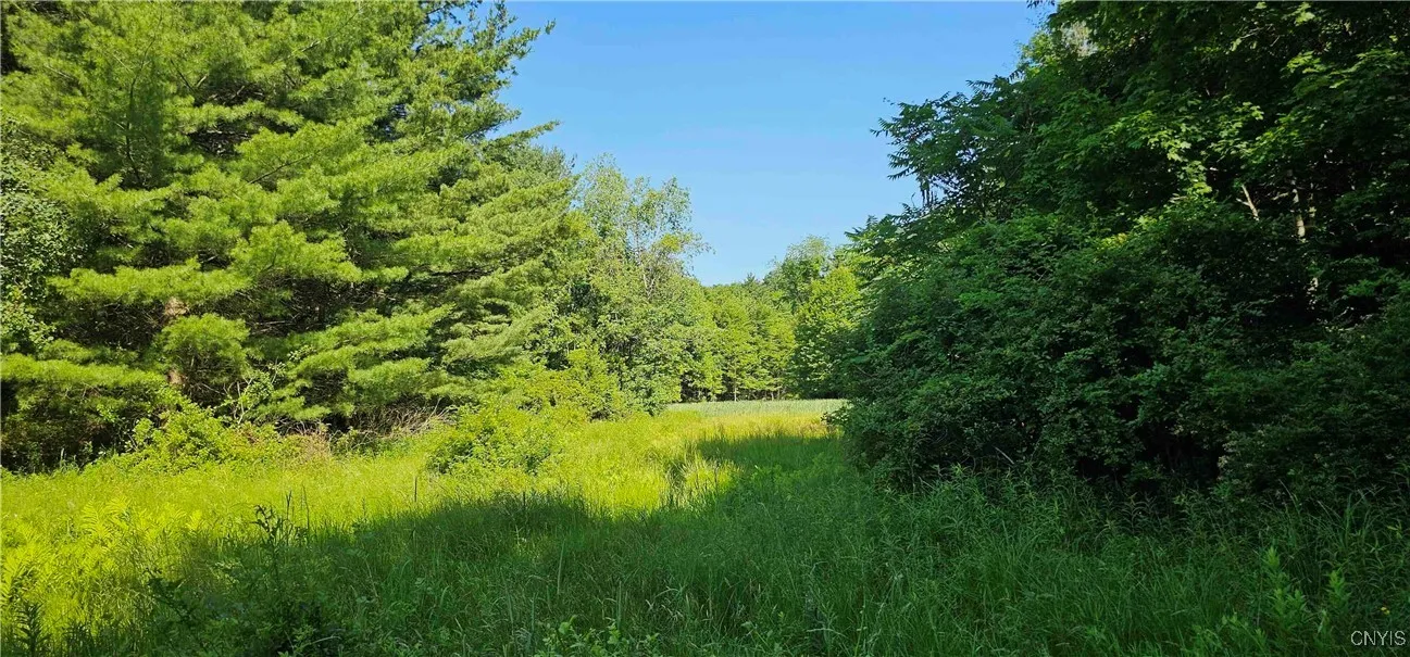 158 Tupper Road, Newfield, New York 14883, Newfield, New York 14883, 3 Bedrooms Bedrooms, 7 Rooms Rooms,1 BathroomBathrooms,Residential,Closed,158 Tupper Road, Newfield, New York 14883,0,S1618407