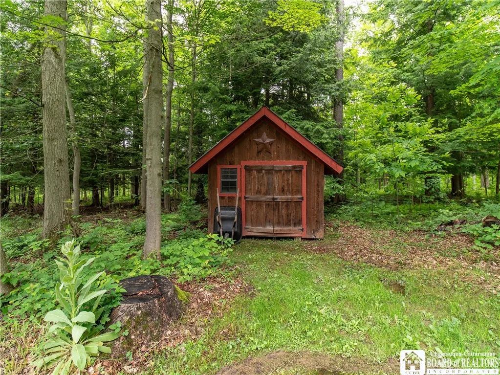 Shed in Back yard