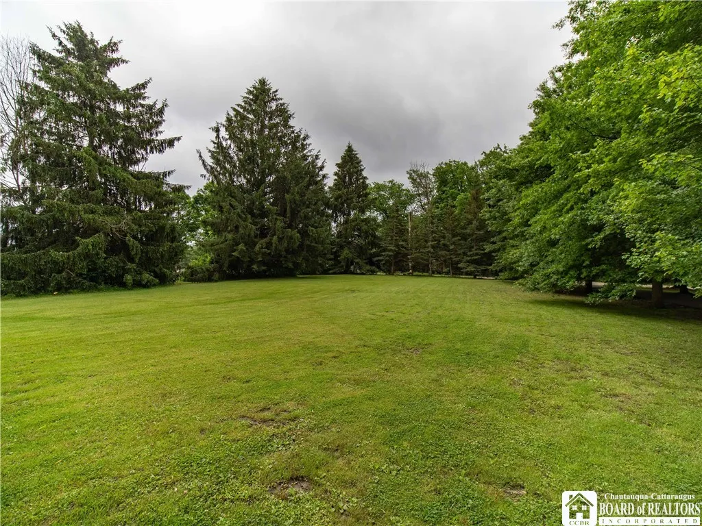 View of The Back Yard