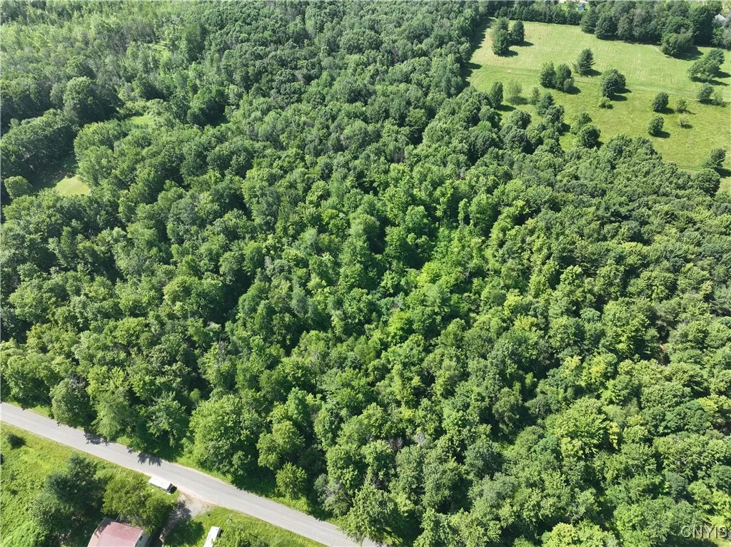 Preston Hill Road, Vienna, New York 13316, Vienna, New York 13316, ,Land,Closed,Preston Hill Road, Vienna, New York 13316,0,S1616515