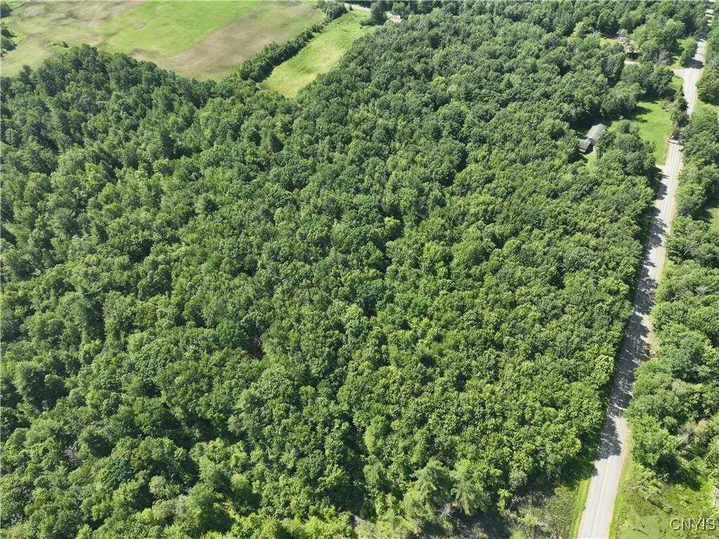 Preston Hill Road, Vienna, New York 13316, Vienna, New York 13316, ,Land,Closed,Preston Hill Road, Vienna, New York 13316,0,S1616515