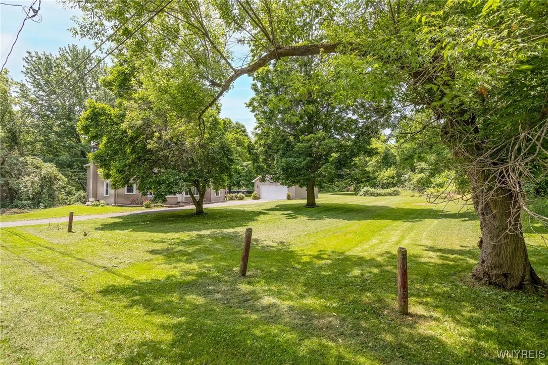 side yard