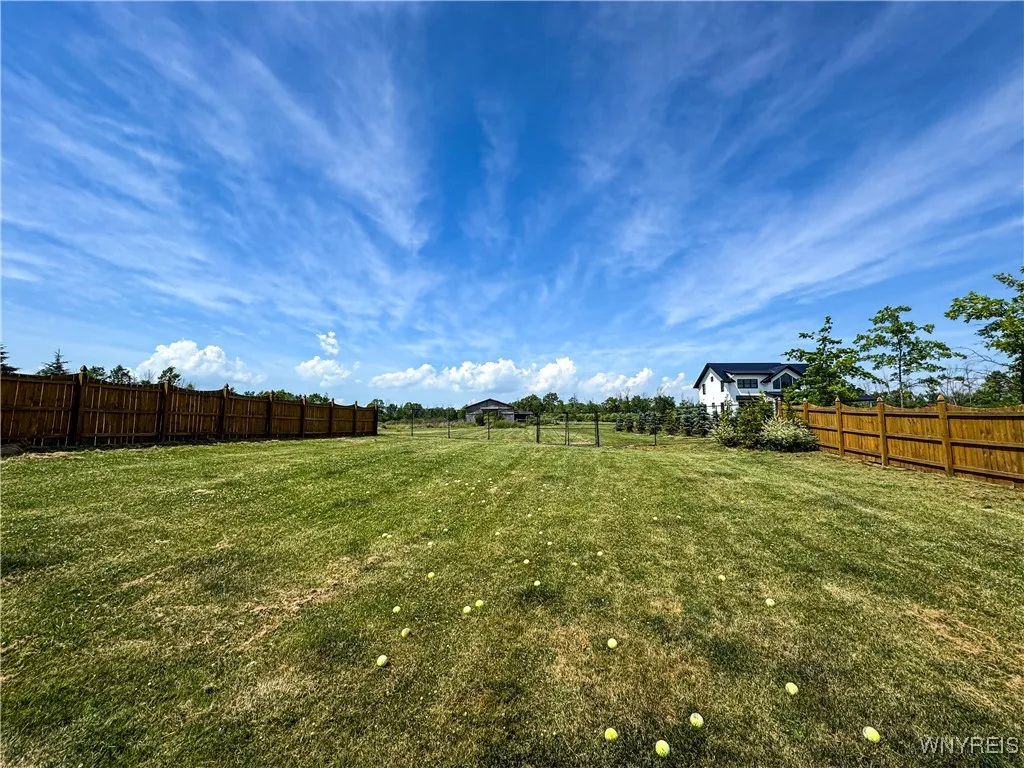 rear yard