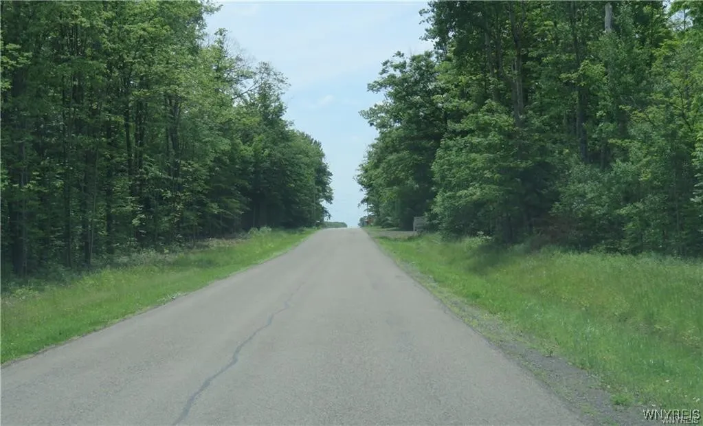 11050 Eden Road, North Collins, New York 14111, North Collins, New York 14111, 3 Bedrooms Bedrooms, 7 Rooms Rooms,2 BathroomsBathrooms,Residential,Closed,11050 Eden Road, North Collins, New York 14111,0,B1618473