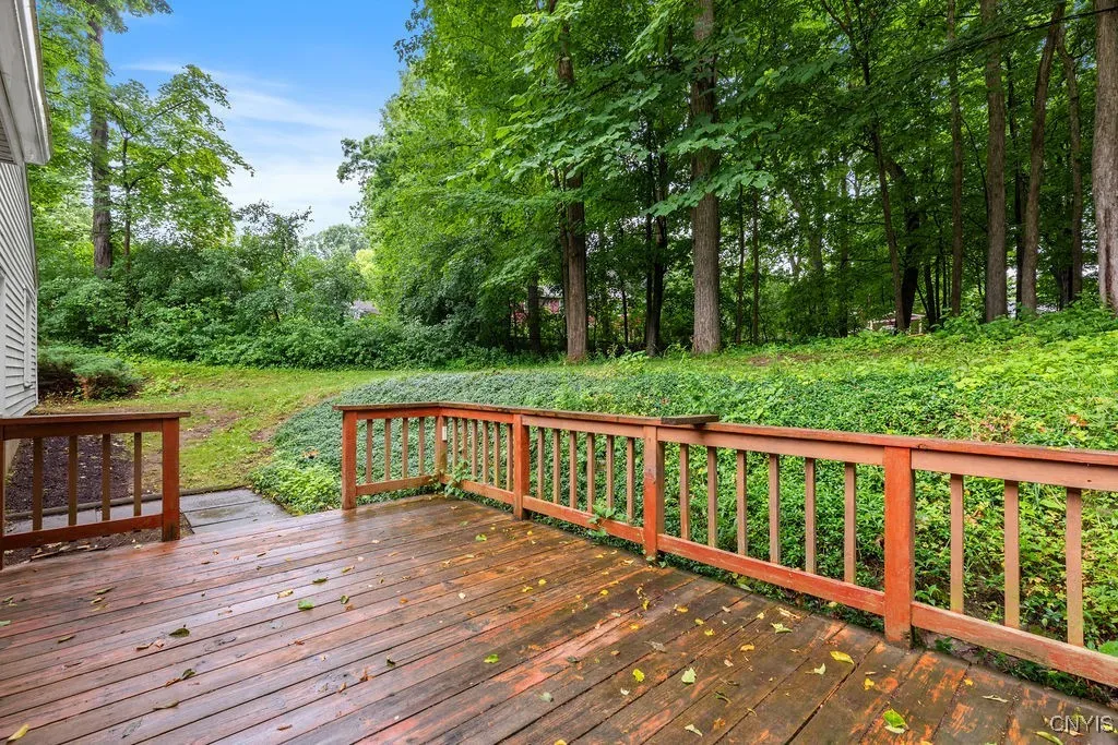 Private and treed backyard that sits on almost a half acre