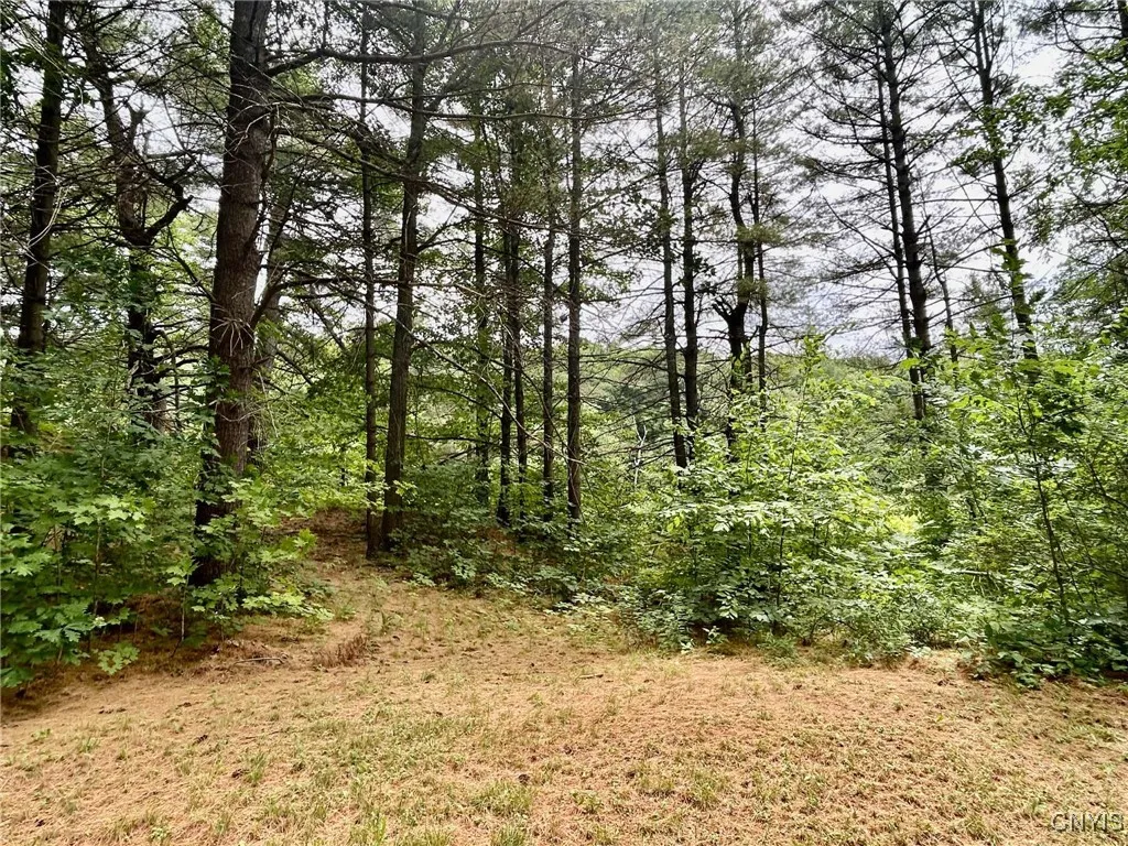 47382 State Highway 37, Alexandria, New York 13646, Alexandria, New York 13646, 2 Bedrooms Bedrooms, 4 Rooms Rooms,2 BathroomsBathrooms,Residential,For Sale,47382 State Highway 37, Alexandria, New York 13646,S1618766