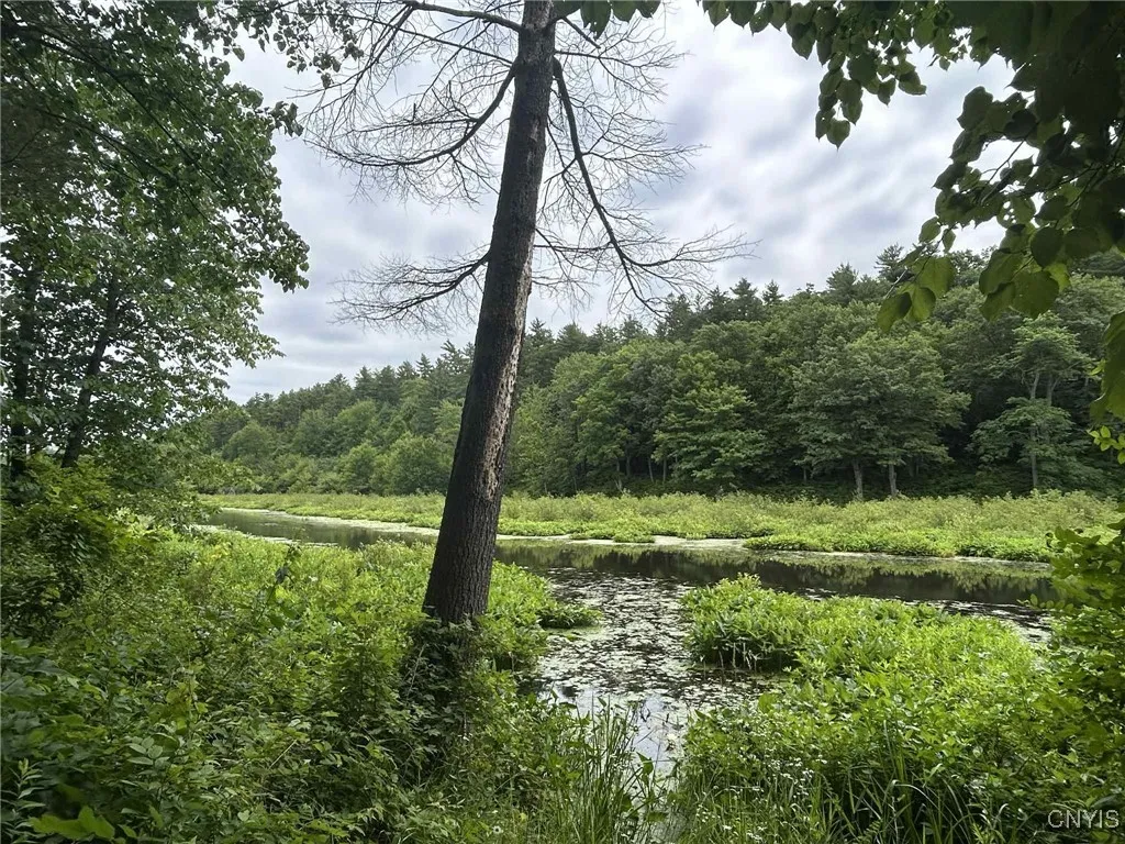 47382 State Highway 37, Alexandria, New York 13646, Alexandria, New York 13646, 2 Bedrooms Bedrooms, 4 Rooms Rooms,2 BathroomsBathrooms,Residential,For Sale,47382 State Highway 37, Alexandria, New York 13646,S1618766