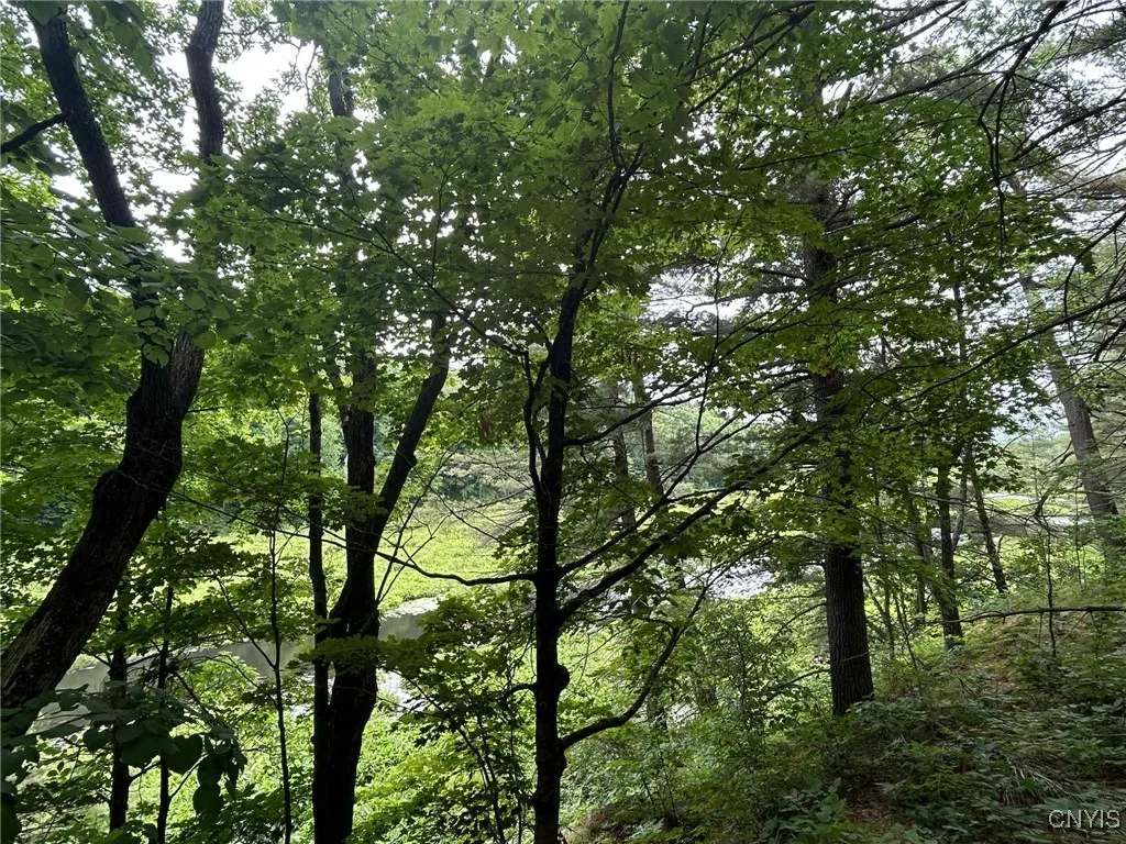 47382 State Highway 37, Alexandria, New York 13646, Alexandria, New York 13646, 2 Bedrooms Bedrooms, 4 Rooms Rooms,2 BathroomsBathrooms,Residential,For Sale,47382 State Highway 37, Alexandria, New York 13646,S1618766