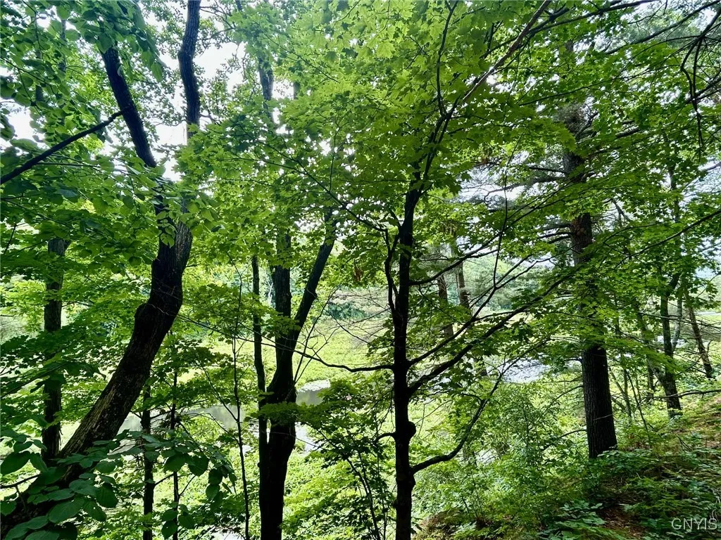 47382 State Highway 37, Alexandria, New York 13646, Alexandria, New York 13646, 2 Bedrooms Bedrooms, 4 Rooms Rooms,2 BathroomsBathrooms,Residential,For Sale,47382 State Highway 37, Alexandria, New York 13646,S1618766