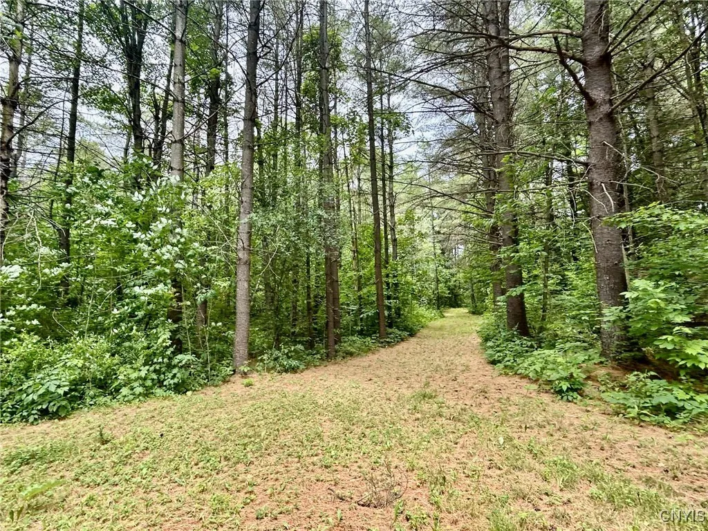 47382 State Highway 37, Alexandria, New York 13646, Alexandria, New York 13646, 2 Bedrooms Bedrooms, 4 Rooms Rooms,2 BathroomsBathrooms,Residential,For Sale,47382 State Highway 37, Alexandria, New York 13646,S1618766