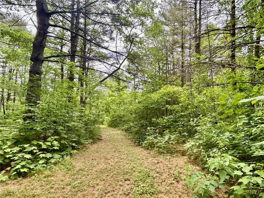 47382 State Highway 37, Alexandria, New York 13646, Alexandria, New York 13646, 2 Bedrooms Bedrooms, 4 Rooms Rooms,2 BathroomsBathrooms,Residential,For Sale,47382 State Highway 37, Alexandria, New York 13646,S1618766