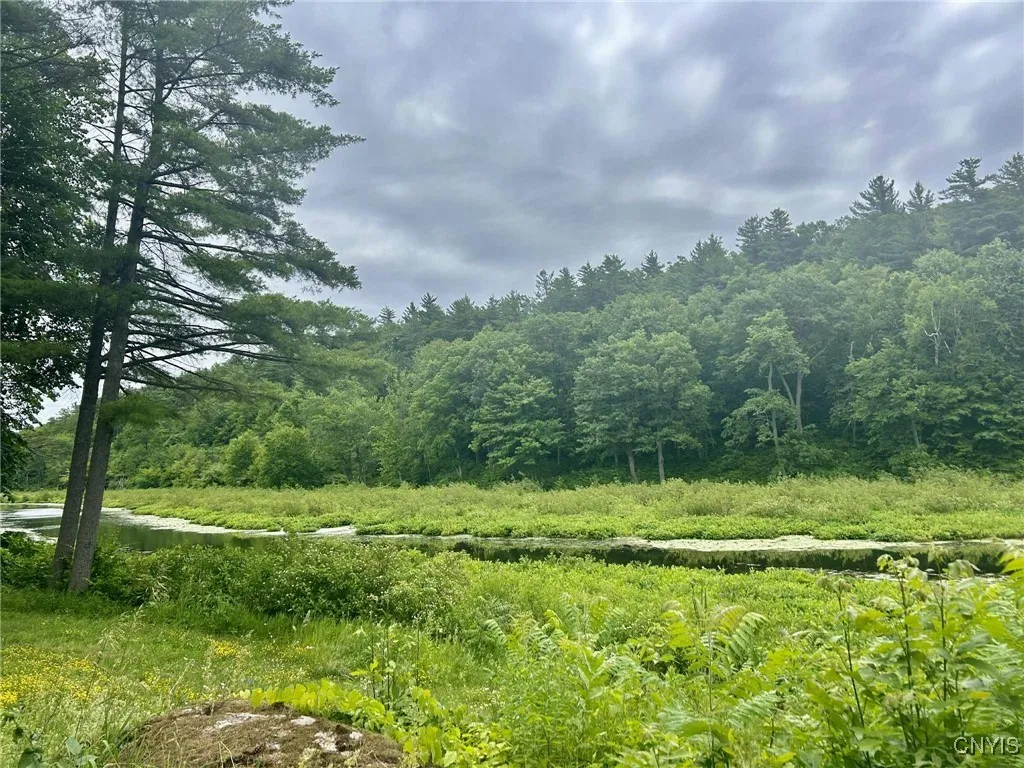 47382 State Highway 37, Alexandria, New York 13646, Alexandria, New York 13646, 2 Bedrooms Bedrooms, 4 Rooms Rooms,2 BathroomsBathrooms,Residential,For Sale,47382 State Highway 37, Alexandria, New York 13646,S1618766