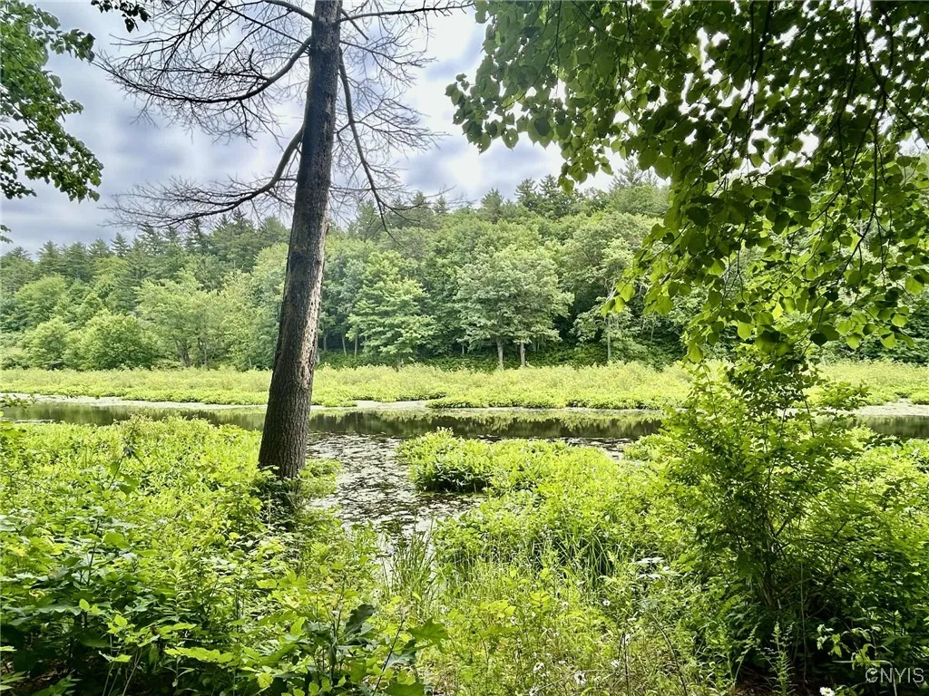 47382 State Highway 37, Alexandria, New York 13646, Alexandria, New York 13646, 2 Bedrooms Bedrooms, 4 Rooms Rooms,2 BathroomsBathrooms,Residential,For Sale,47382 State Highway 37, Alexandria, New York 13646,S1618766