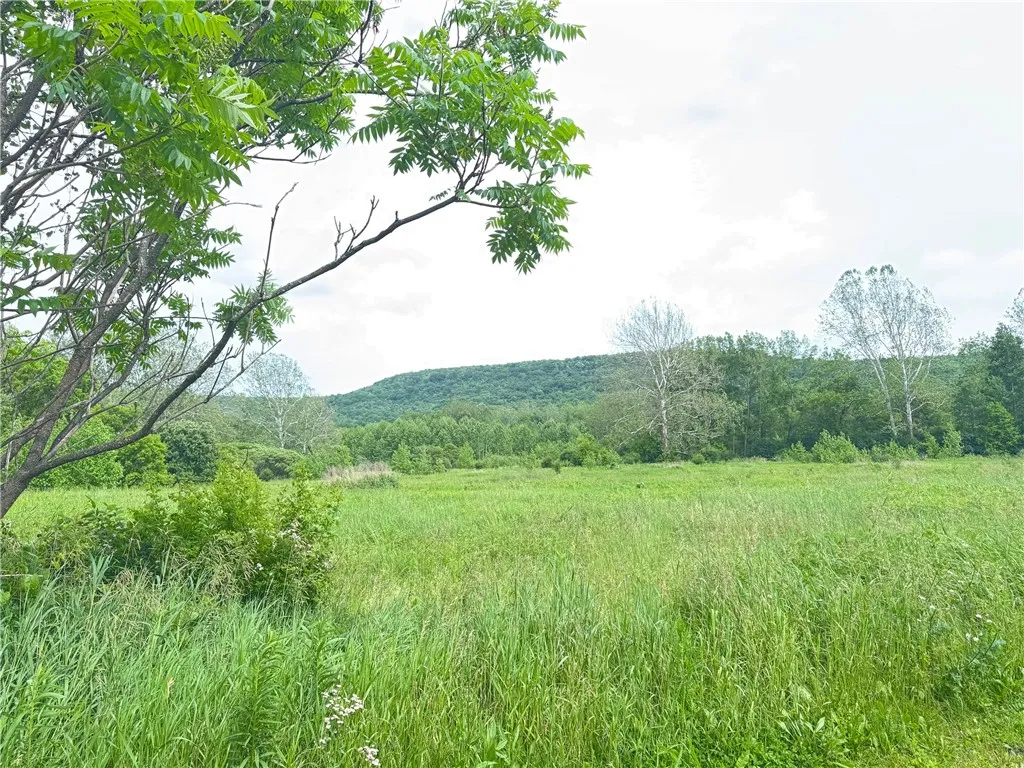 lower field