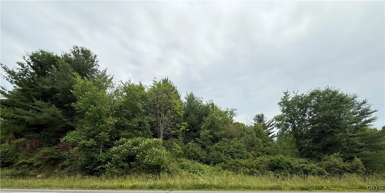Rt-26, Theresa, New York 13691, Theresa, New York 13691, ,Land,For Sale,Rt-26, Theresa, New York 13691,S1618821