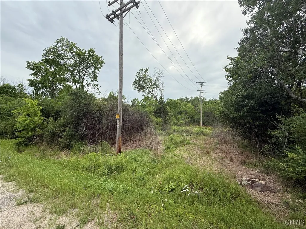 Rt-26, Theresa, New York 13691, Theresa, New York 13691, ,Land,For Sale,Rt-26, Theresa, New York 13691,S1618821