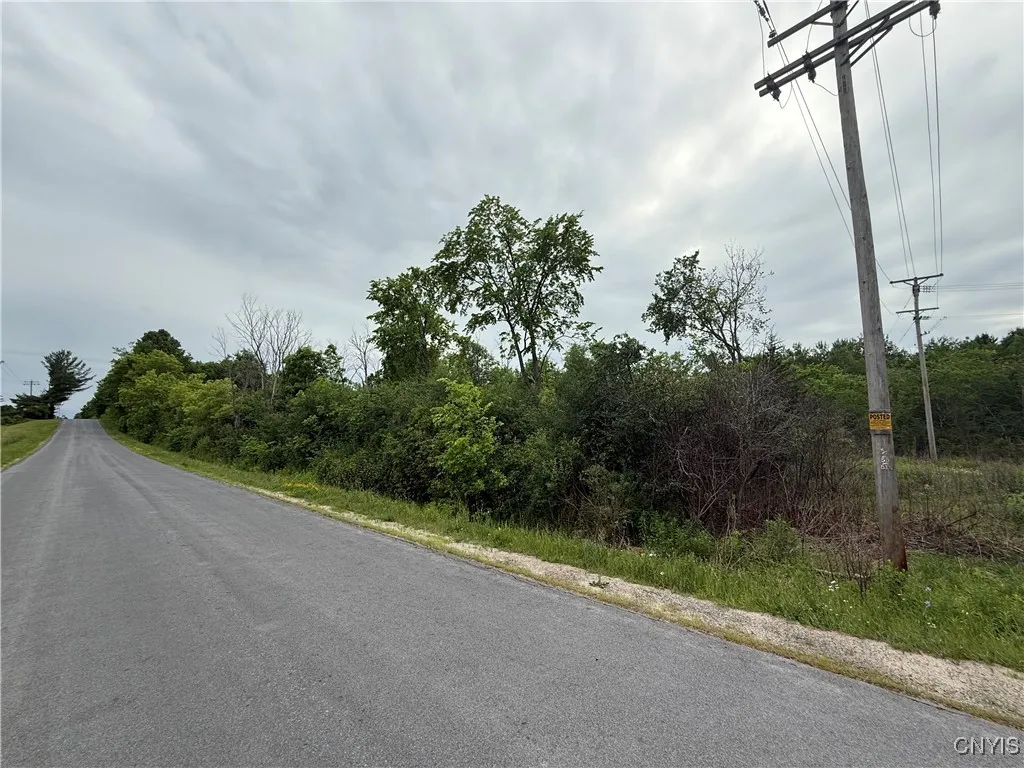 Rt-26, Theresa, New York 13691, Theresa, New York 13691, ,Land,For Sale,Rt-26, Theresa, New York 13691,S1618821
