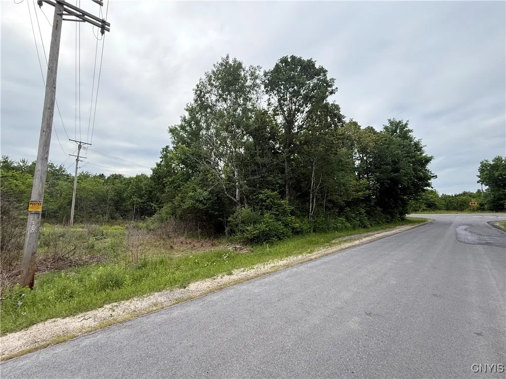 Rt-26, Theresa, New York 13691, Theresa, New York 13691, ,Land,For Sale,Rt-26, Theresa, New York 13691,S1618821