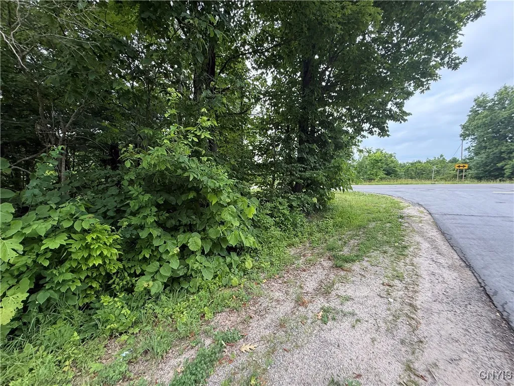 Rt-26, Theresa, New York 13691, Theresa, New York 13691, ,Land,For Sale,Rt-26, Theresa, New York 13691,S1618821