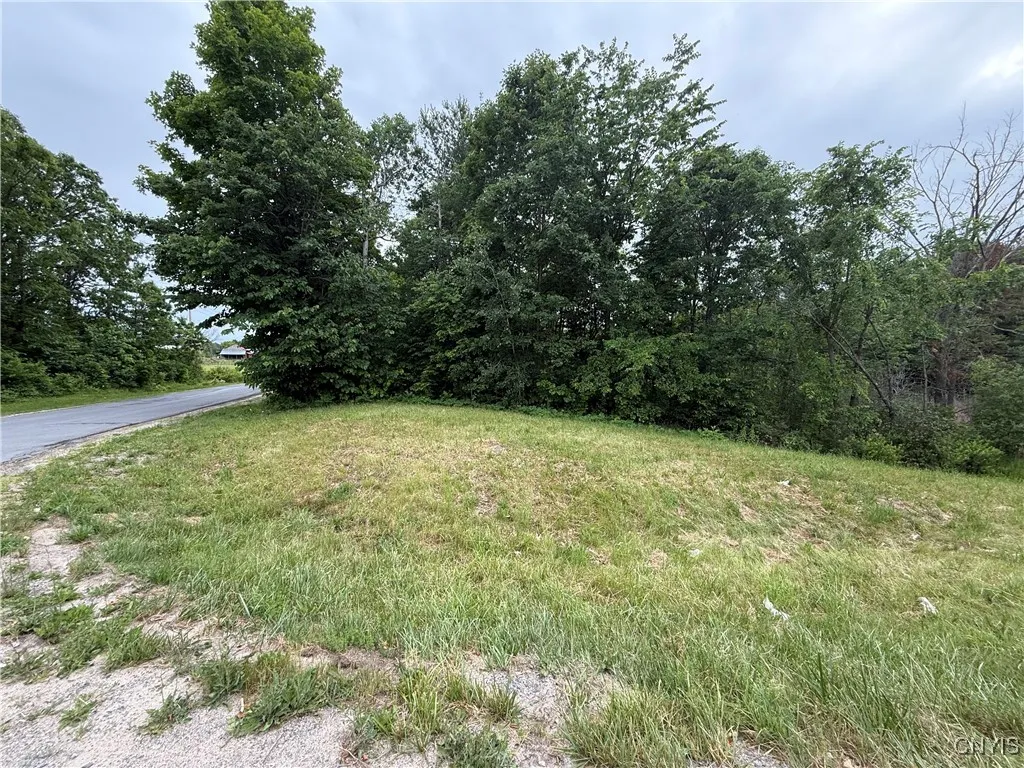 Rt-26, Theresa, New York 13691, Theresa, New York 13691, ,Land,For Sale,Rt-26, Theresa, New York 13691,S1618821