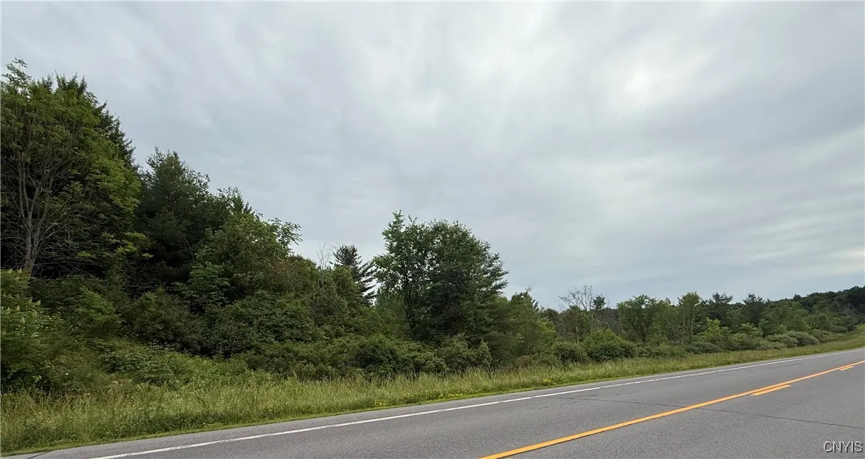 Rt-26, Theresa, New York 13691, Theresa, New York 13691, ,Land,For Sale,Rt-26, Theresa, New York 13691,S1618821