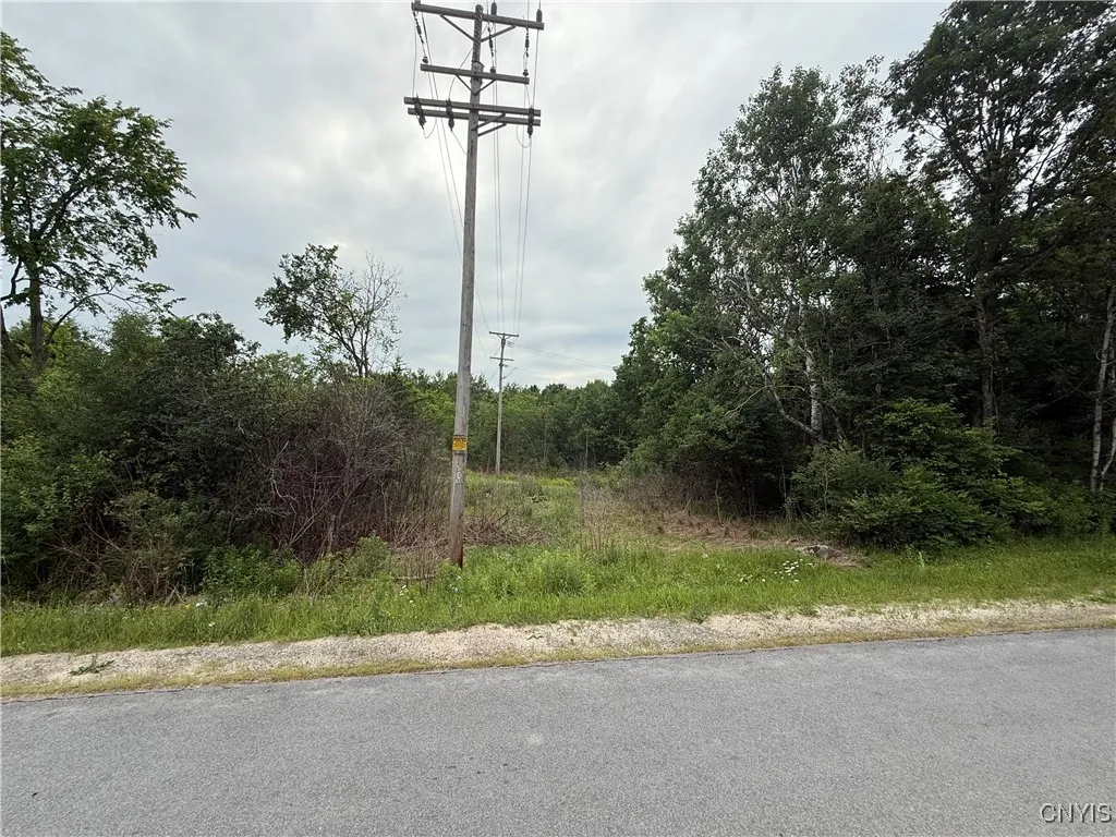 Rt-26, Theresa, New York 13691, Theresa, New York 13691, ,Land,For Sale,Rt-26, Theresa, New York 13691,S1618821