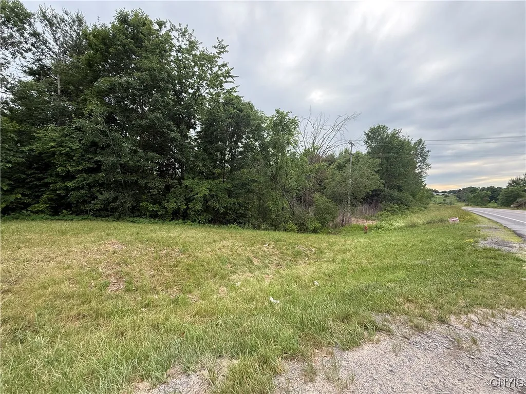 Rt-26, Theresa, New York 13691, Theresa, New York 13691, ,Land,For Sale,Rt-26, Theresa, New York 13691,S1618821