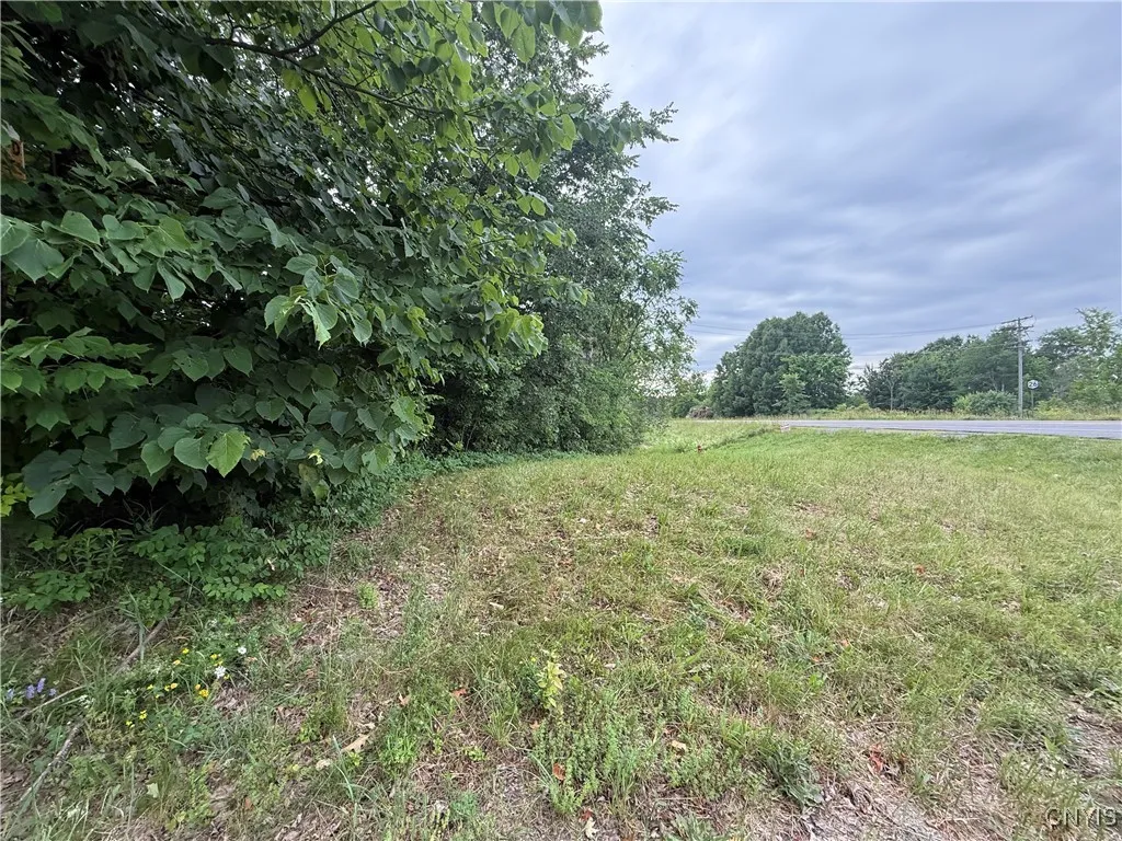 Rt-26, Theresa, New York 13691, Theresa, New York 13691, ,Land,For Sale,Rt-26, Theresa, New York 13691,S1618821