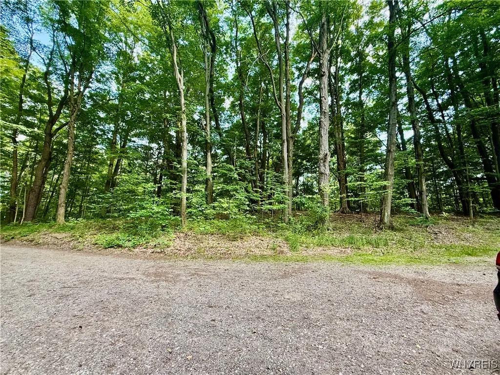 7084a Boston Colden Rd A, Boston, New York 14025, Boston, New York 14025, 2 Bedrooms Bedrooms, 4 Rooms Rooms,1 BathroomBathrooms,Residential,Closed,7084a Boston Colden Rd A, Boston, New York 14025,0,B1618828