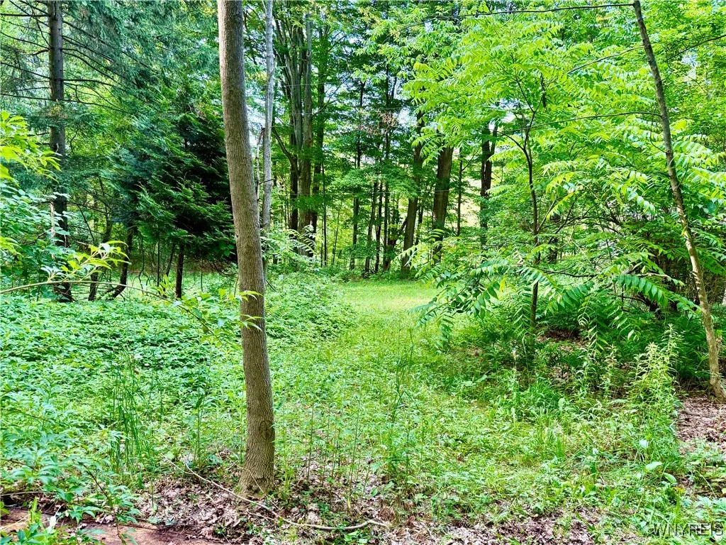 7084a Boston Colden Rd A, Boston, New York 14025, Boston, New York 14025, 2 Bedrooms Bedrooms, 4 Rooms Rooms,1 BathroomBathrooms,Residential,Closed,7084a Boston Colden Rd A, Boston, New York 14025,0,B1618828