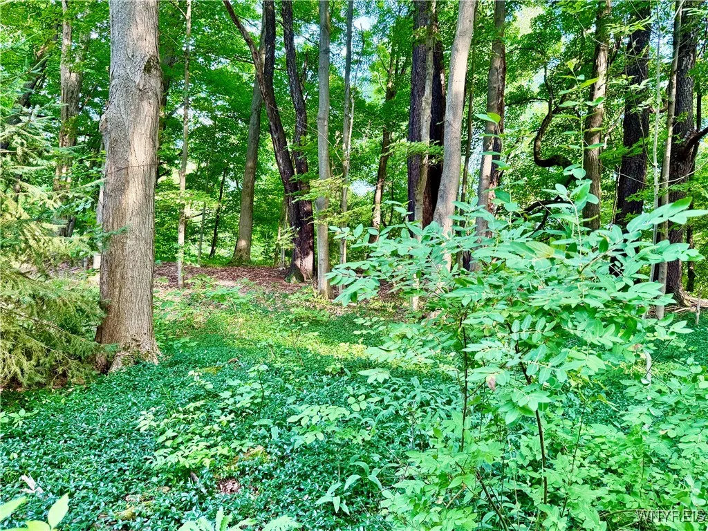 7084a Boston Colden Rd A, Boston, New York 14025, Boston, New York 14025, 2 Bedrooms Bedrooms, 4 Rooms Rooms,1 BathroomBathrooms,Residential,Closed,7084a Boston Colden Rd A, Boston, New York 14025,0,B1618828