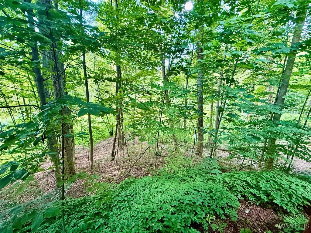 7084a Boston Colden Rd A, Boston, New York 14025, Boston, New York 14025, 2 Bedrooms Bedrooms, 4 Rooms Rooms,1 BathroomBathrooms,Residential,Closed,7084a Boston Colden Rd A, Boston, New York 14025,0,B1618828