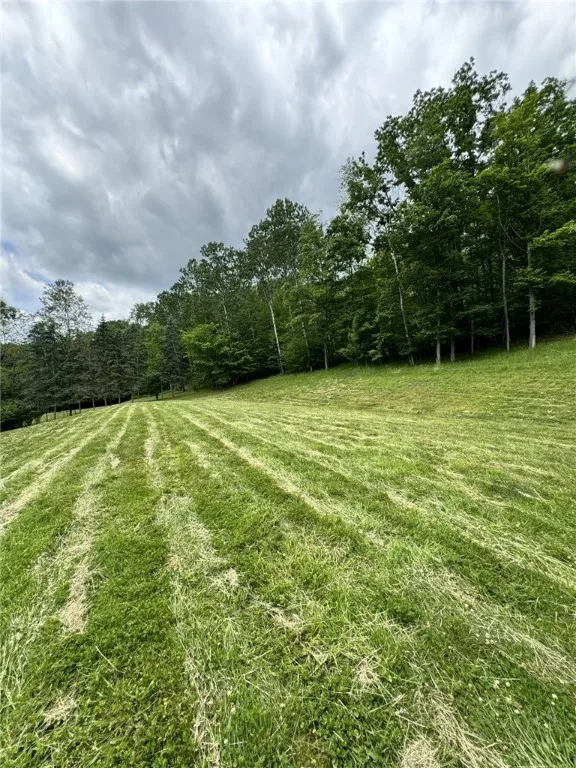 1029 Barden Brook, Ceres, Pennsylvania 16731, Ceres, Pennsylvania 16731, 3 Bedrooms Bedrooms, 6 Rooms Rooms,2 BathroomsBathrooms,Residential,For Sale,1029 Barden Brook, Ceres, Pennsylvania 16731,R1617862
