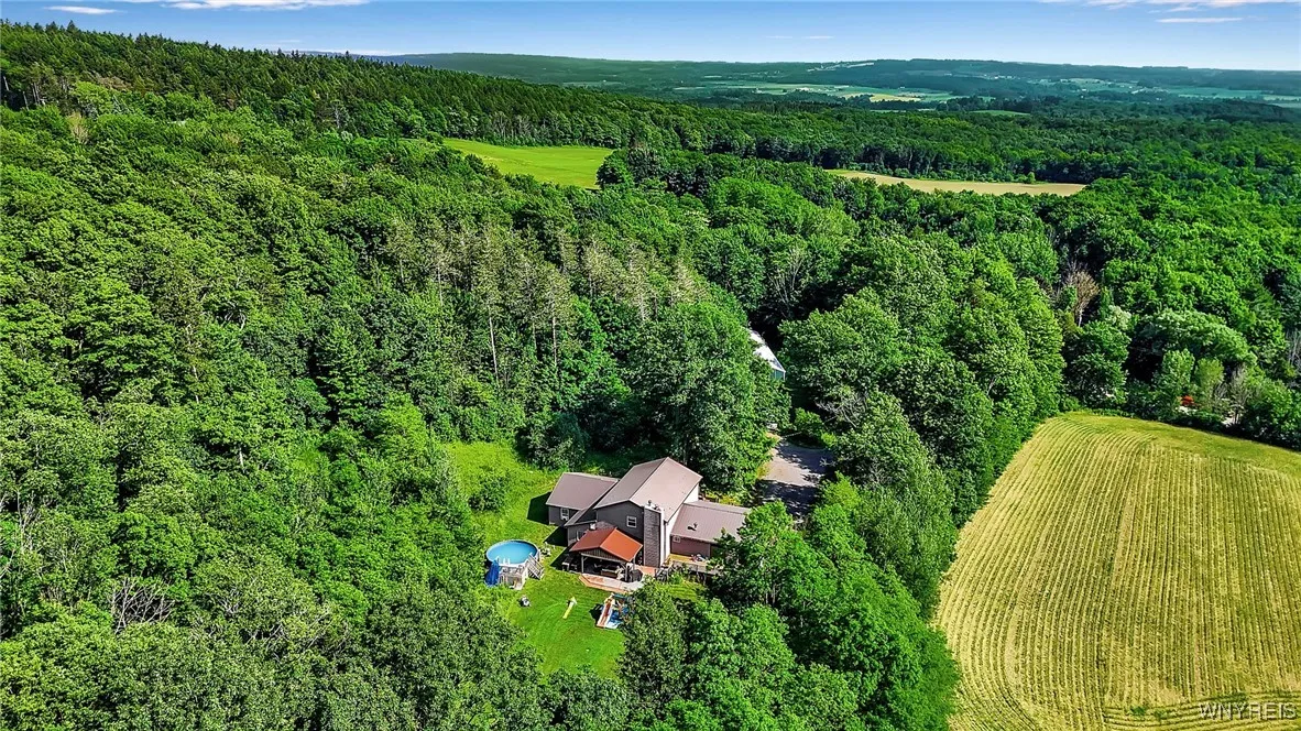 Aerial Photo Back