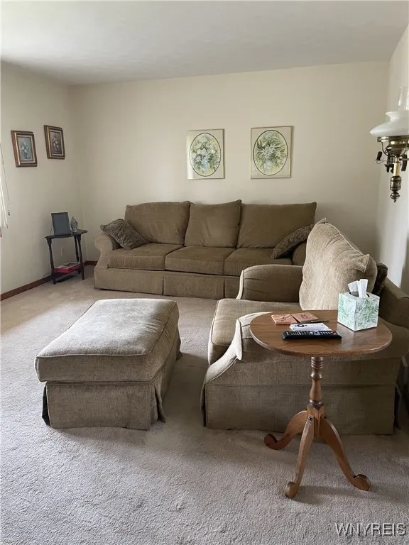 Large Living Room