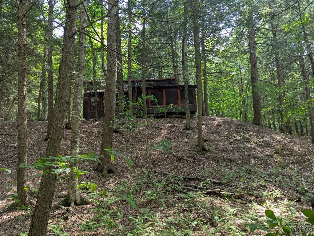 View from stream to cabin