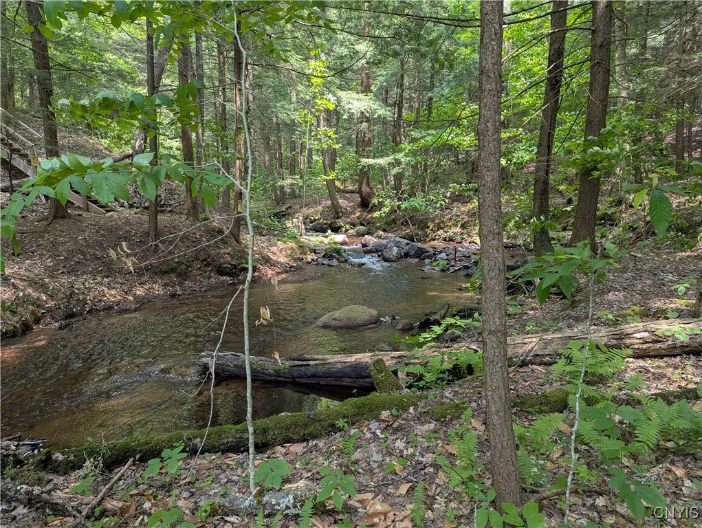 6446 Lingerlong Pond Road, Watson, New York 13343, Watson, New York 13343, ,Land,Closed,6446 Lingerlong Pond Road, Watson, New York 13343,0,S1619051