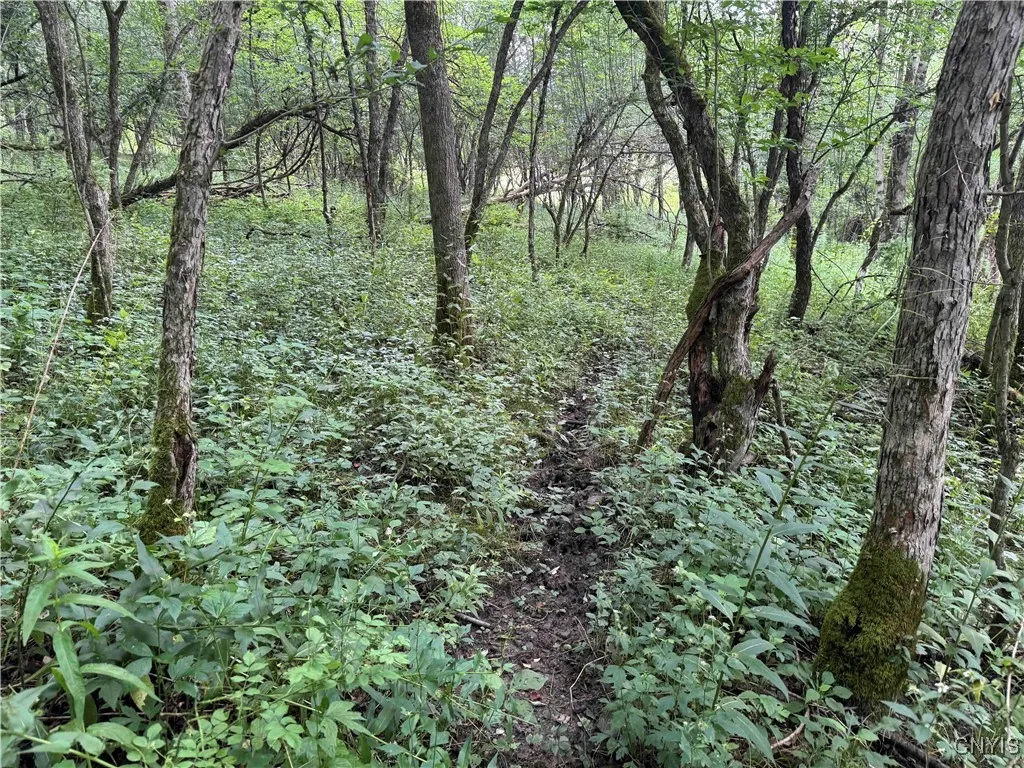 Creek Road, Hinsdale, New York 14743, Hinsdale, New York 14743, ,Land,Closed,Creek Road, Hinsdale, New York 14743,0,S1619408