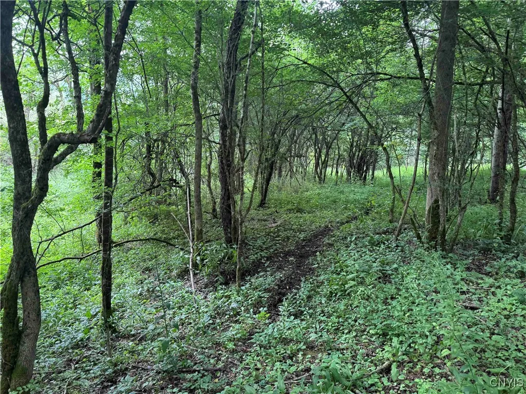 Creek Road, Hinsdale, New York 14743, Hinsdale, New York 14743, ,Land,Closed,Creek Road, Hinsdale, New York 14743,0,S1619408