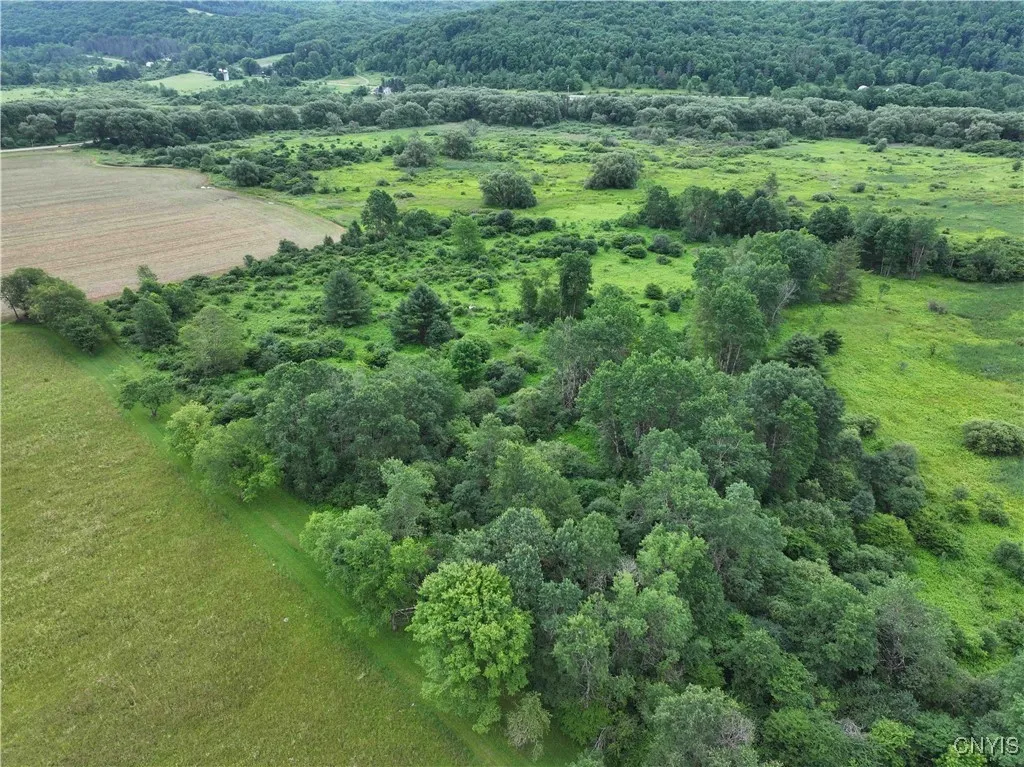 Creek Road, Hinsdale, New York 14743, Hinsdale, New York 14743, ,Land,Closed,Creek Road, Hinsdale, New York 14743,0,S1619408