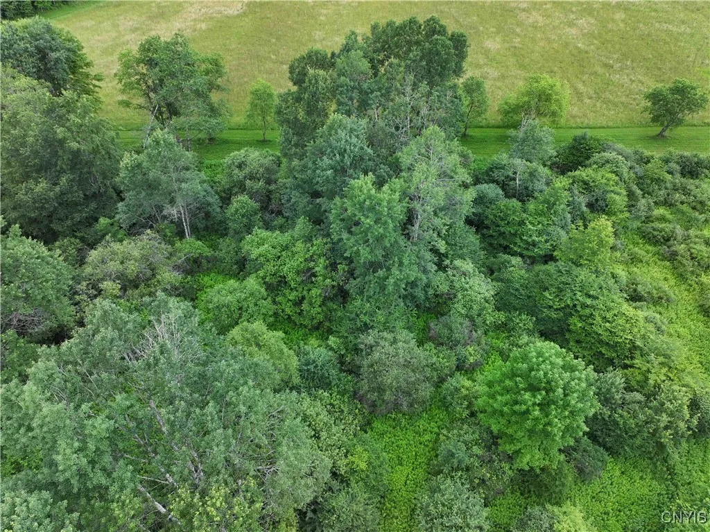 Creek Road, Hinsdale, New York 14743, Hinsdale, New York 14743, ,Land,Closed,Creek Road, Hinsdale, New York 14743,0,S1619408